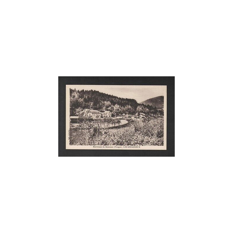 CPA 88 SENONES Les CHACHEUX vosges
