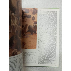 Les animaux des solitudes
