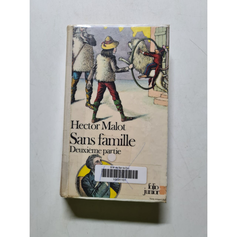 Sans famille - 1980
