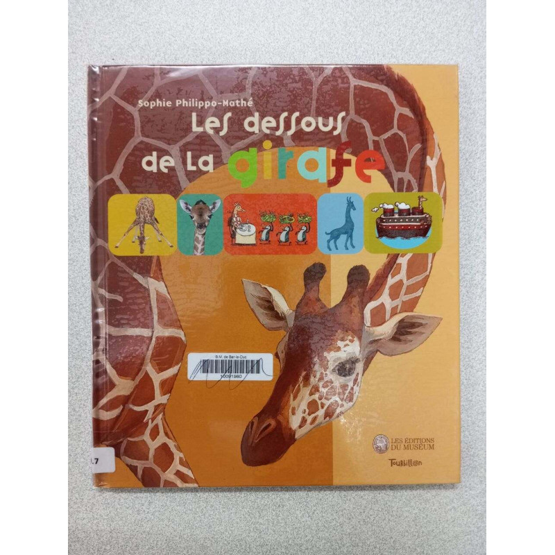 Les dessous de la girafe