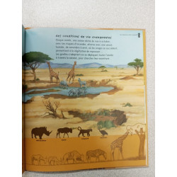 Les dessous de la girafe