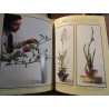Décoration par les plantes par Oliver e allen et les Rédacteurs