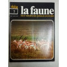 La faune nº 7- vie et moeurs des animaux sauvages