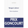 Syngué Sabour Pierre de Patience Syngué Sabour Pierre de Patience