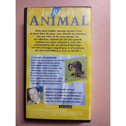 Le rêgne animal