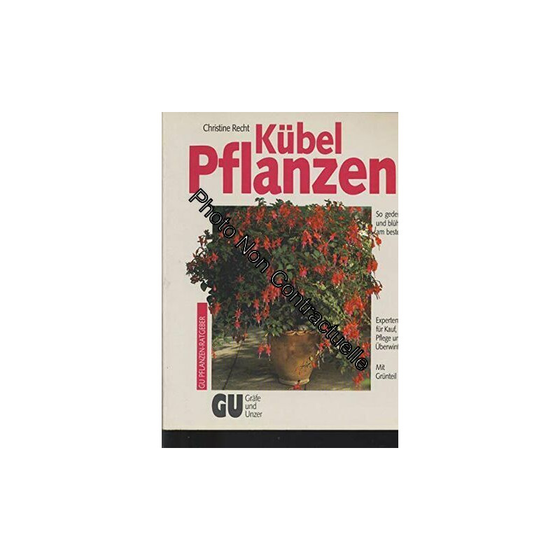 Kübelpflanzen. So gedeihen und blühen sie am besten. Experten-Rat...