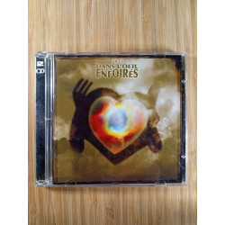 2011 dans l'oeil des enfoirés