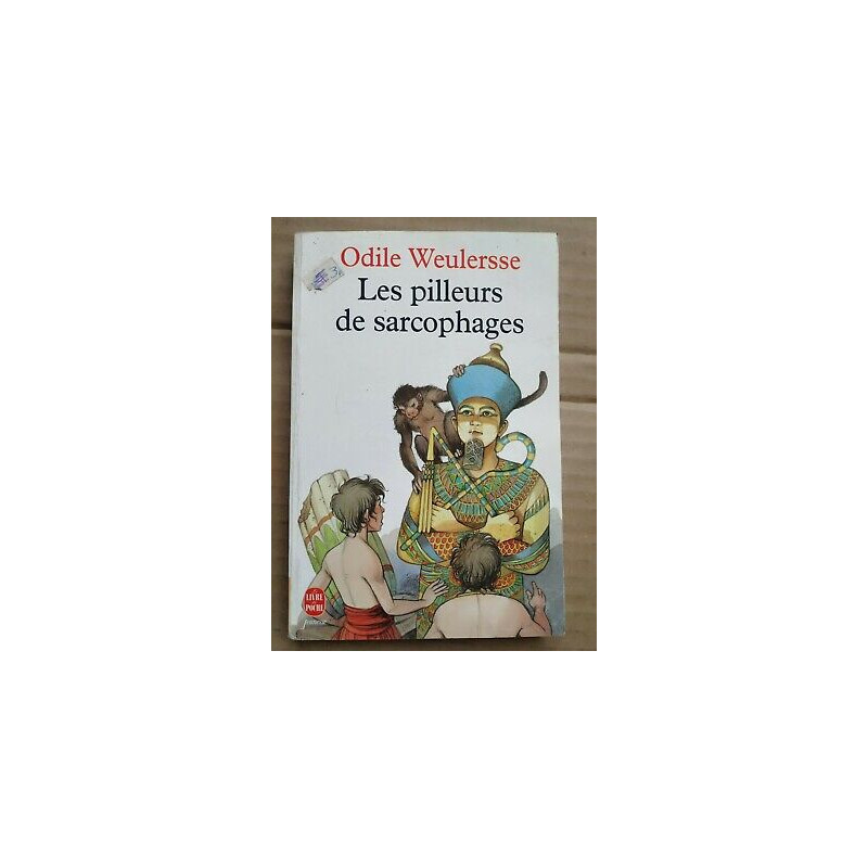 Les pilleurs de sarcophages