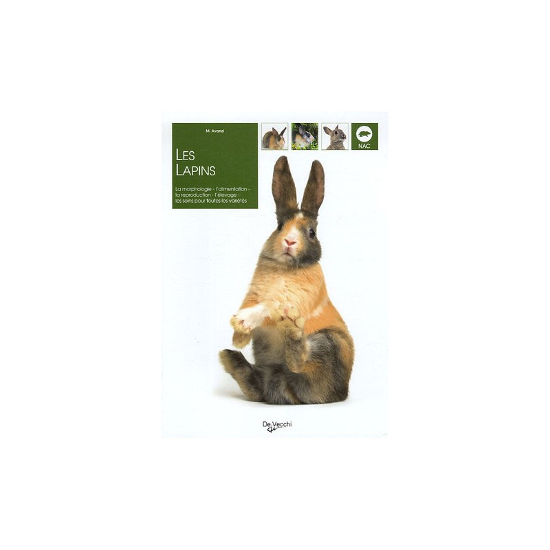 Les lapins Les lapins