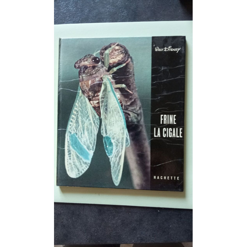 Frine la cigale