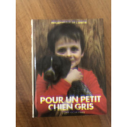 Pour un petit chien gris