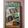 Le régne animal tome 17