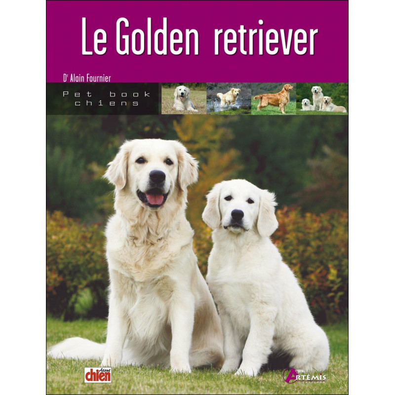 Le Golden retriever