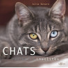 Chats portraits insolites