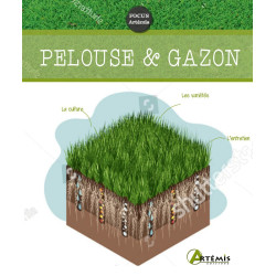 Pelouse et gazon