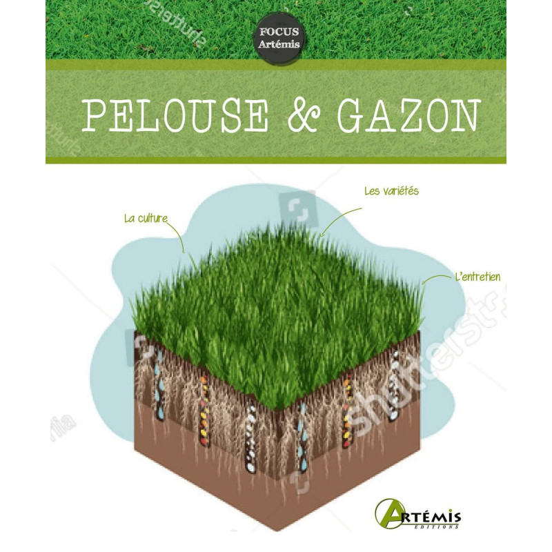 Pelouse et gazon