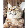 MON CHAT MA DIT