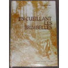 En cueillant les brimbelles