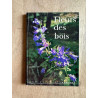 Fleurs des bois