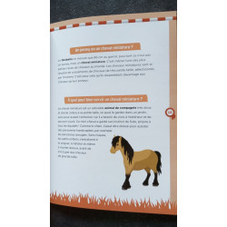 À la découverte des chevaus