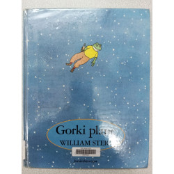 gorki plane