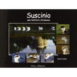 Intrigue dans les marais