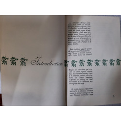 La civilisation chinoise