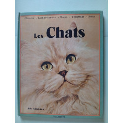 Nos animaux les cats