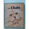 Nos animaux les cats
