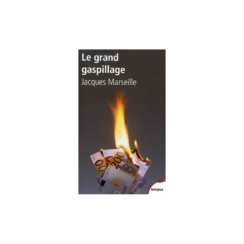 Le grand gaspillage : Les vrais comptes de l'Etat