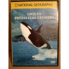 Orques prédateurs des mers DVD