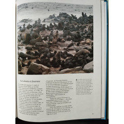 La petite encyclopédie des grands mammifères