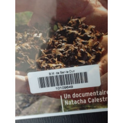 Disparition des Abeilles