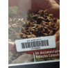 Disparition des Abeilles