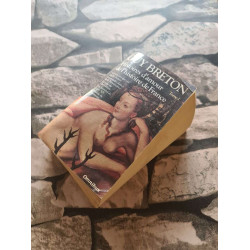 Histoires D'amour De L'histoire tome 1
