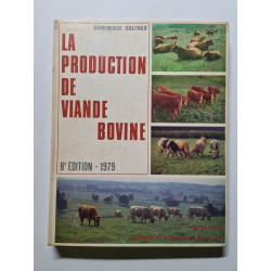 La production de viande bovine