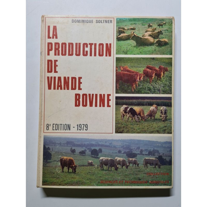 La production de viande bovine