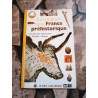 Les Énigmes de la France préhistorique