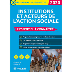 Les institutions et acteurs du social 2020: L'essentiel à connaître