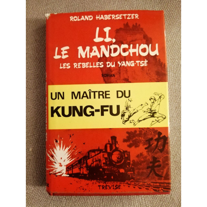 Un maître du kung -fu