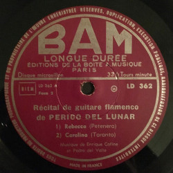 Guitariste “Flamenco”