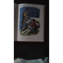 Belle et Sébastien