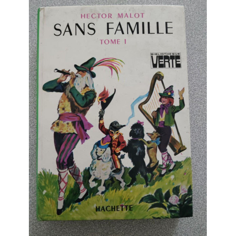 Sans famille tome 1