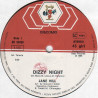 Dizzy Night