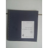 François PERCHE Celui qui vient le courrier à la main 2003