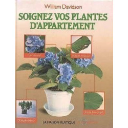 Soignez vos plantes d'appartement - comment garder de belles
