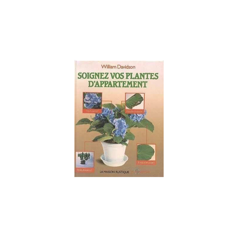 Soignez vos plantes d'appartement - comment garder de belles