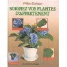 Soignez vos plantes d'appartement - comment garder de belles