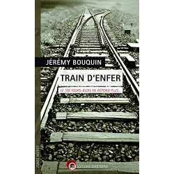 Train d'enfer: Le TER Tours-Blois ne répond plus