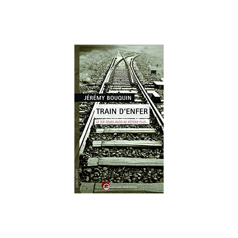 Train d'enfer: Le TER Tours-Blois ne répond plus